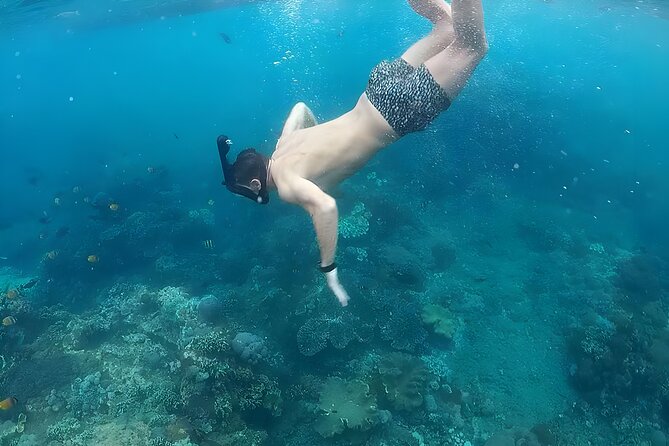 Nusa Penida Island Beach Tour With Snorkeling - Departure From Bali Island - Gamat Bay: coral and small sea life