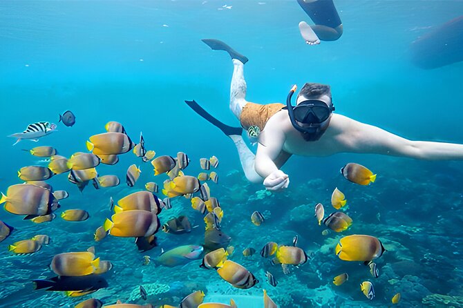 Nusa Penida Island Beach Tour With Snorkeling - Departure From Bali Island - Manta Bay: keep expectations realistic