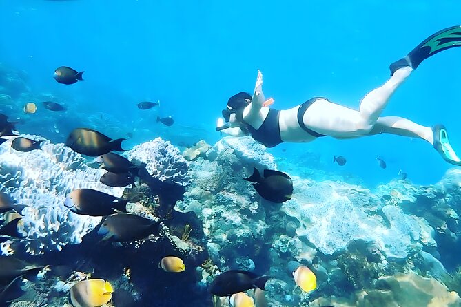 Nusa Penida Island Beach Tour With Snorkeling - Departure From Bali Island - Speedboat travel and the morning on the water