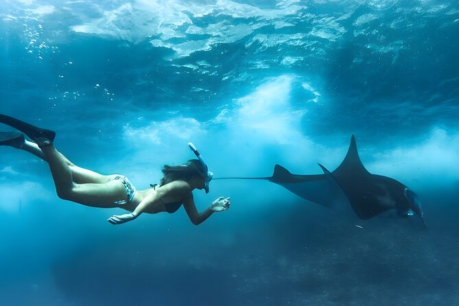 Nusa Penida Island Beach Tours with Snorkeling From Bali - Five useful things to know before booking