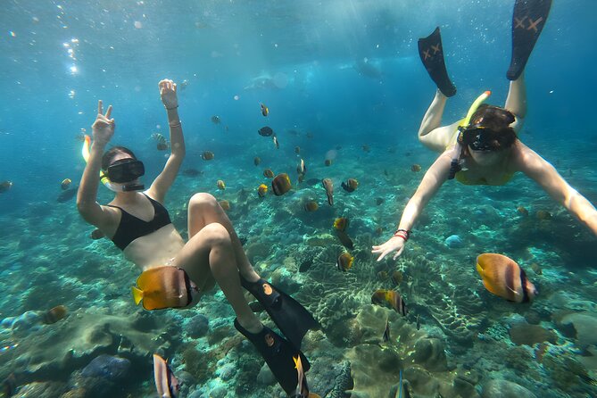 Nusa Penida Island Beach Tours with Snorkeling From Bali - Gamat Bay: a quieter first look underwater