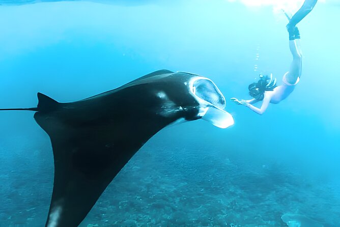 Nusa Penida Island Beach Tours with Snorkeling From Bali - Starting early from south Bali
