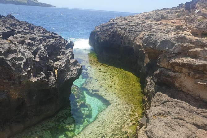 Nusa Penida Island Day Trip - Kelingking Beach and the famous dinosaur-shaped cliff