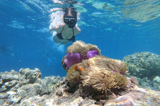 Nusa Penida Island Tour Package With Snorkeling - Key points to know before booking