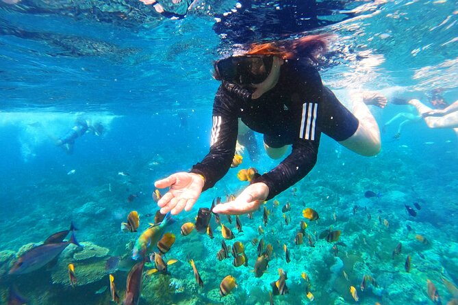 Nusa Penida Island Tour Package With Snorkeling - The main weakness: too much time in transit