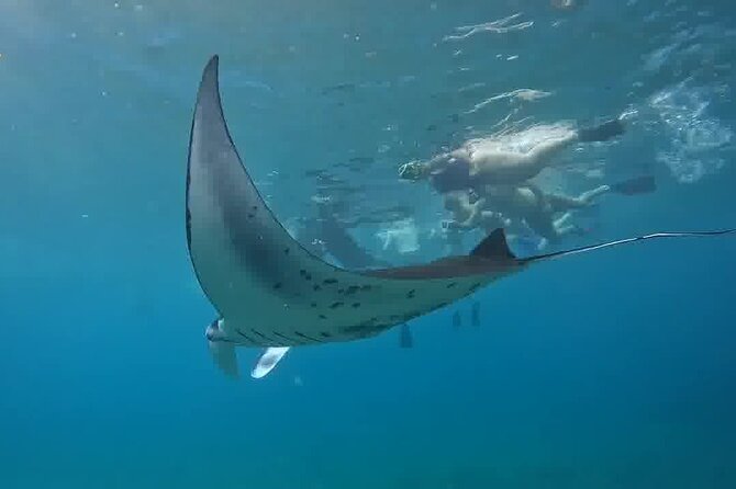 Nusa Penida Land Tour and 4 Points Snorkeling with Manta - Key points to know before booking