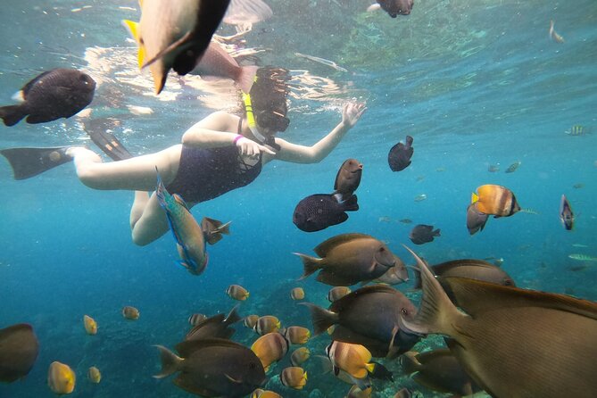 Nusa Penida Land Tour and 4 Points Snorkeling with Manta - Lunch at 1 pm, with little wasted time