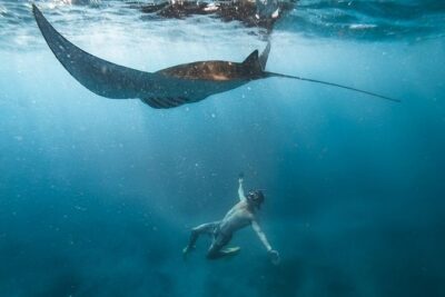 Nusa penida private senorkeling with Manta
