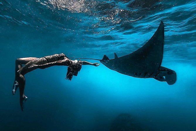 Nusa Penida Snorkeling Adventure (Private & All-Inclusive) - Why this tour works as a Nusa Penida day trip
