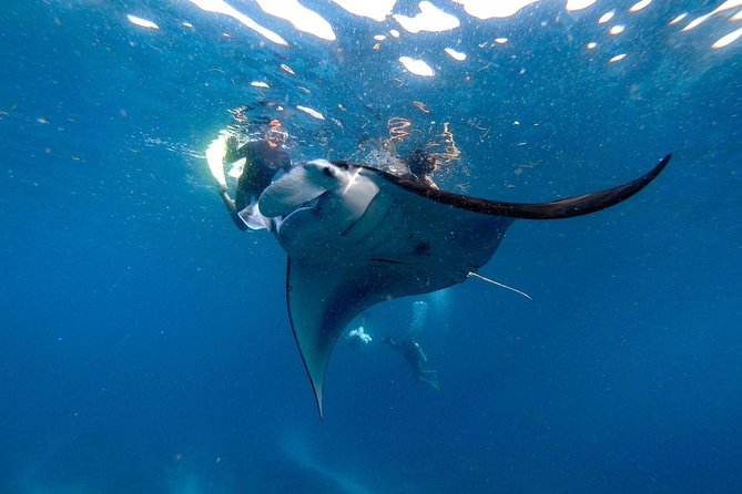 Nusa Penida Snorkeling Adventure (Private & All-Inclusive) - The roads and the private car matter