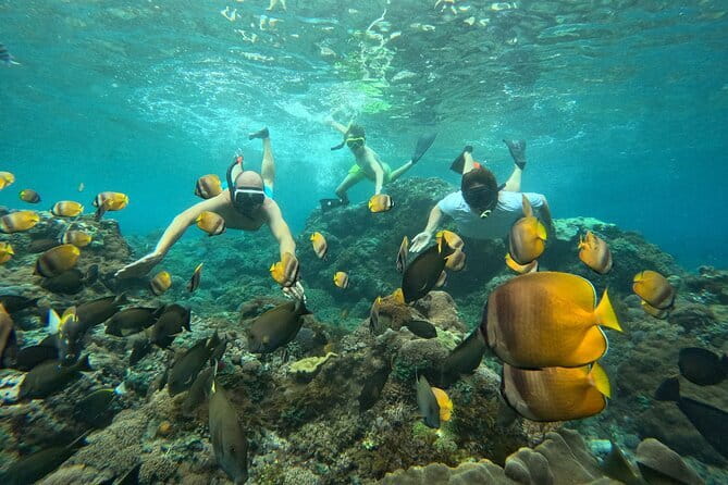 Nusa Penida : Snorkeling Trip Manta Point, Gamat Bay and Wall Bay - Why this three-stop snorkeling trip is worth considering