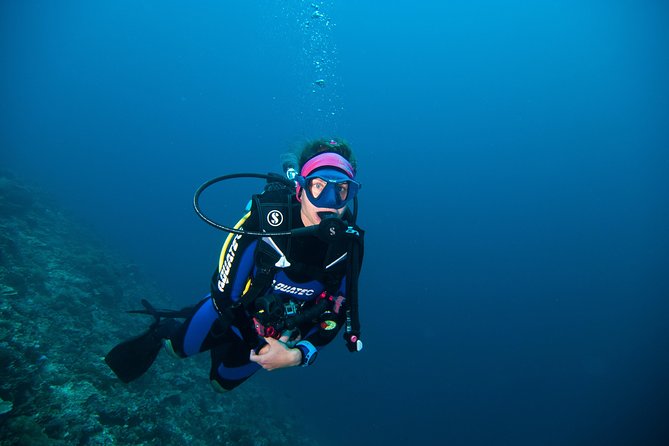 Nusa Penida Three Dives Trip for Certified Divers - East Penida and the appeal of healthy reefs