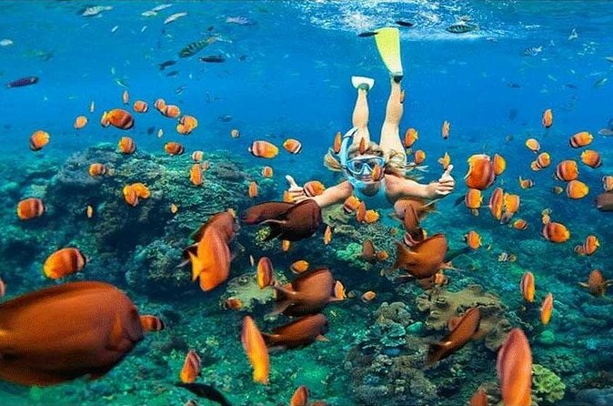 Nusa Penida Trip with Snorkeling all-Inclusive - Kelingking Beach: the signature view, not an easy beach day