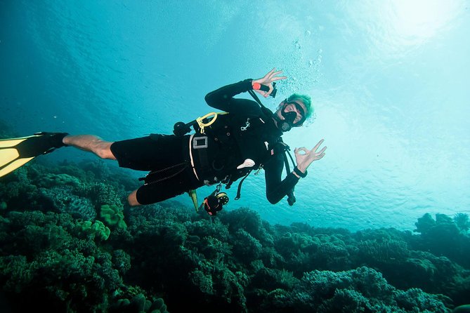Nusa Penida Two Dives Trip for Certified Divers - Starting at Pure Dive Resort in Ped at 8:00 a.m.