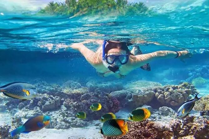 Nusa Penida West trip with snorkeling at 3 spot with Free Meals - Key things to know before booking