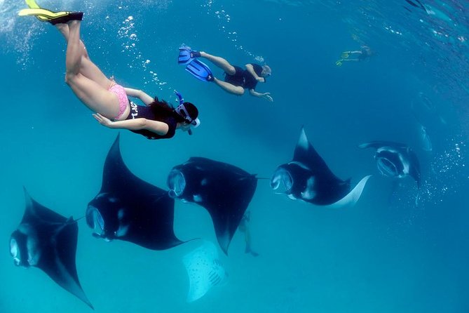 One Day Snorkeling Trip & West Tour Nusa Penida by Penidago - Key points to know before booking