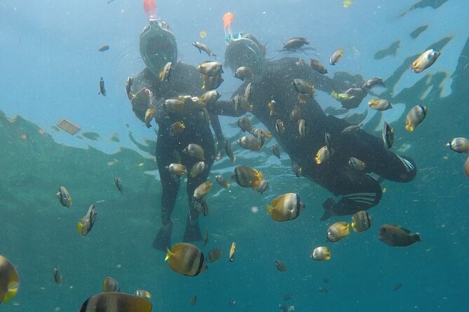 One Day Snorkeling Trip & West Tour Nusa Penida by Penidago - Broken Beach and Angel’s Billabong after lunch
