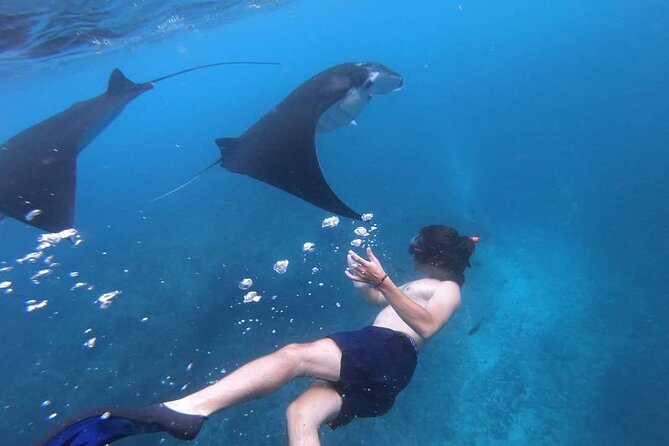 One Day Snorkeling Trip & West Tour Nusa Penida by Penidago - Kelingking Beach and the famous cliff view