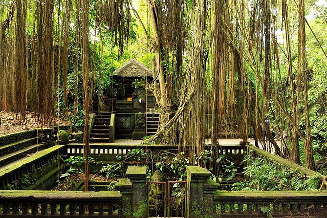One Day Tour Ubud With Private Guide - Why this private Ubud day tour works