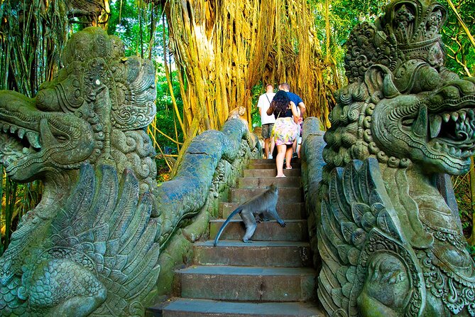 One Day Tour Ubud With Private Guide - Tegalalang Rice Terrace and the extra-cost swing