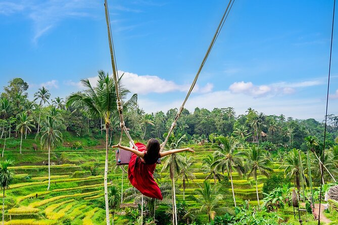 One Day Tour Ubud With Private Guide - Tirta Empul and Balinese purification