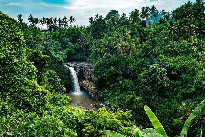 One Day Tour Ubud With Private Guide - Coffee, tea, and a forest view