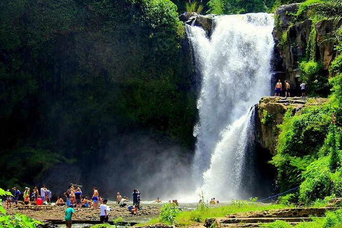 One Day Tour Ubud With Private Guide - What the $18.24 price really includes
