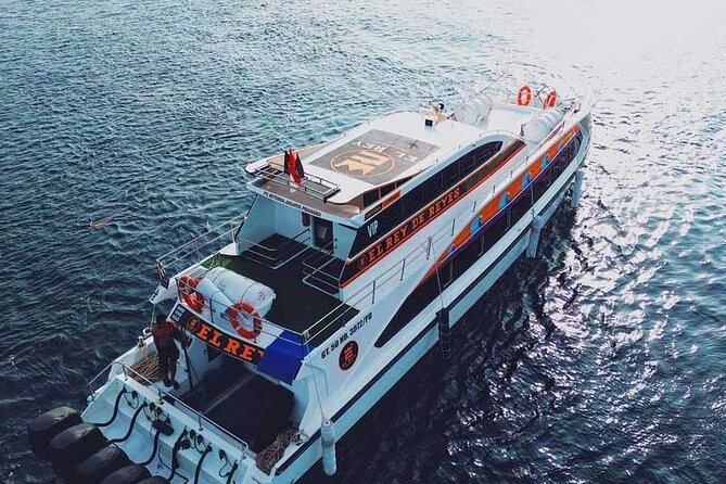 One-way Ticket Fast Boat from Sanur Bali or Nusa Penida - A short crossing between two very different islands
