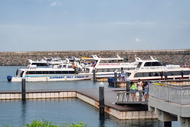 One-way Ticket Fast Boat from Sanur Bali or Nusa Penida - Nusa Penida departures and return planning