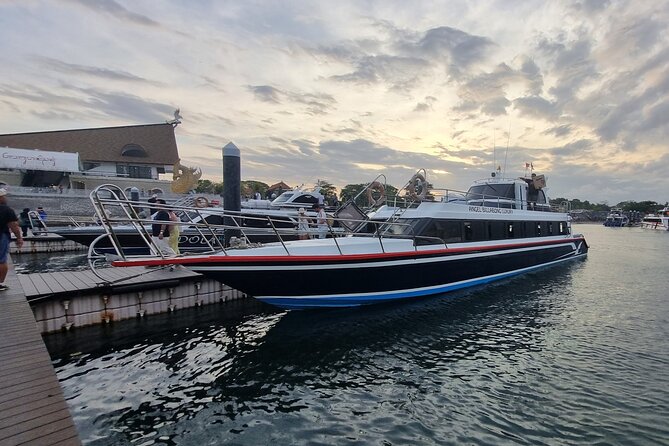 One-way Ticket Fast Boat from Sanur Bali or Nusa Penida - Choosing between Angel Billabong and El Rey