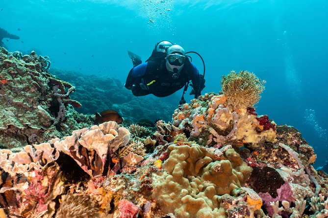 Open Water Course in Pemuteran - Get Certified in Bali - What the $379.18 price really covers