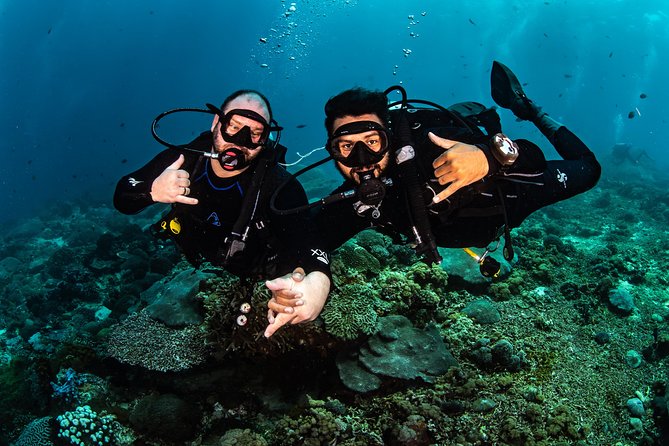 Open Water Course in Tulamben - Get Certified in Bali - The USS Liberty: your memorable training backdrop