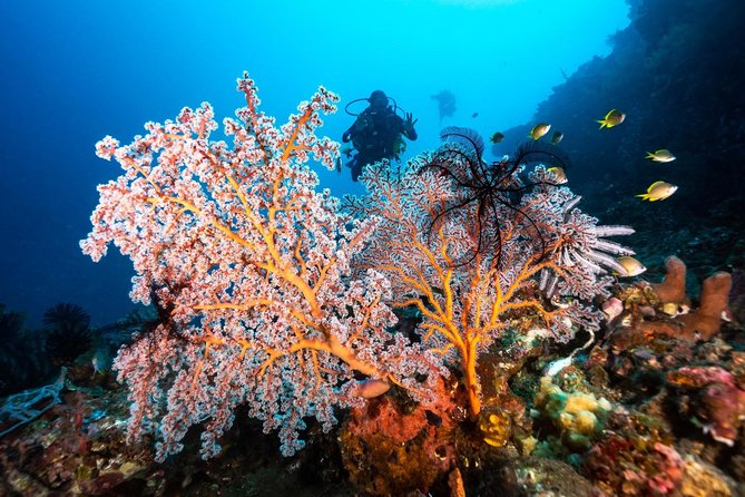 Open Water Course in Tulamben - Get Certified in Bali - What the $376.92 price gets you