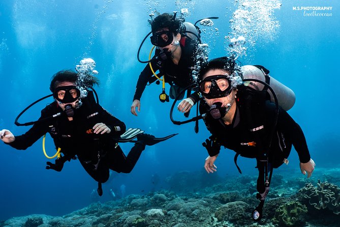 Open Water Course in Tulamben - Get Certified in Bali - The instructor and private format