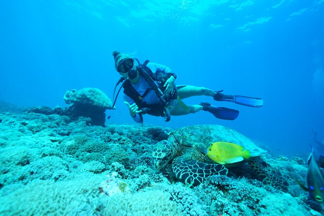 PADI Open water Course in Lembongan - Get certified & dive anywhere in the world - What the $425 course actually gives you