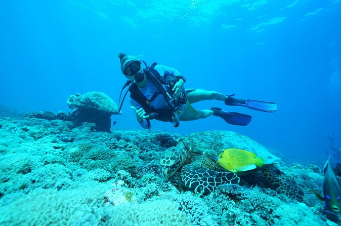 PADI Open water Course in Lembongan - Get certified & dive anywhere in the world - Why the instructor makes such a difference