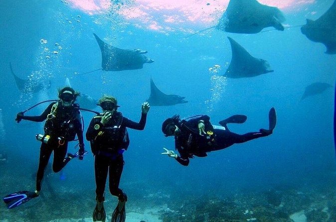PADI Open water Course in Lembongan - Get certified & dive anywhere in the world - Practical cautions before you pay