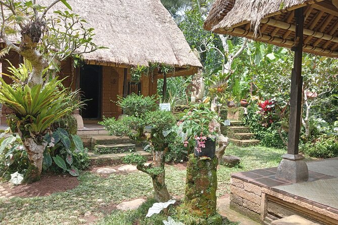 Penglipuran Village Waterfall Swing Private Guided Tour - What this private Bali day is really like