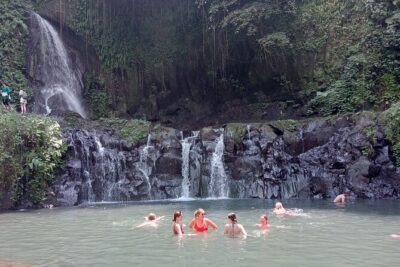 Penglipuran Village Waterfall Swing Private Guided Tour