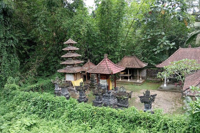 Penglipuran Village Waterfall Swing Private Guided Tour - Transport, guide quality, and personal service