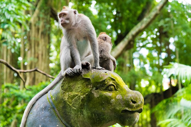 Pick 5 Destinations: Customized Ubud Tour - Sacred Monkey Forest, Ubud Market, and the King Palace