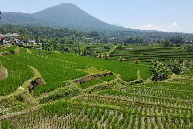 Private 4-Day Tours - Best Bali Tours Package - Best of Bali Highlights - Day 3: East Bali’s famous gate, water palace, and quiet beach