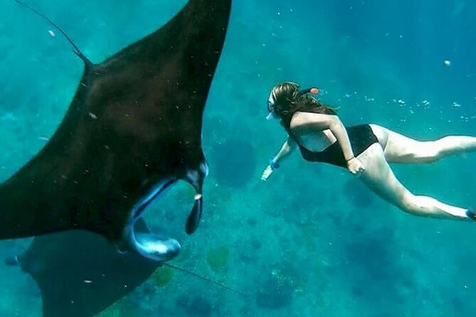 Private All Inclusive Nusa Penida Snorkeling and Tour - Key points at a glance