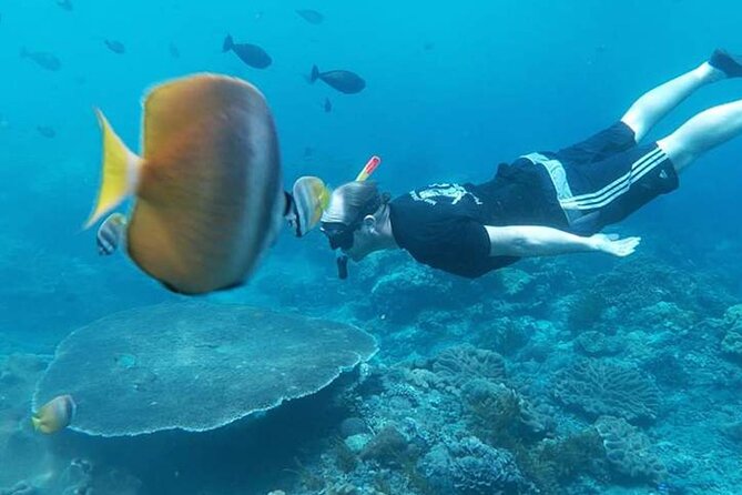 Private All Inclusive Nusa Penida Snorkeling and Tour - Starting at Sanur Harbour around 6:00 am
