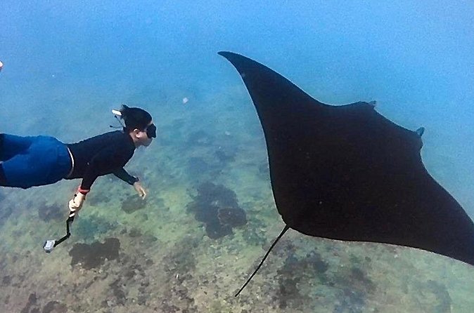 Private All Inclusive Nusa Penida Snorkeling and Tour - Transport, group size, and the private-tour advantage