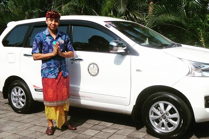 Private Arrival Transfer: Bali Airport to Hotel - Key points to know before landing
