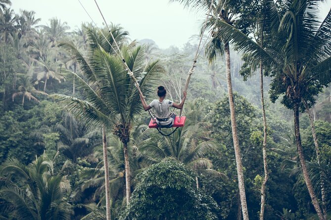 Private Bali Car Charter with Driver up to 6 People - What $69.26 really buys your group
