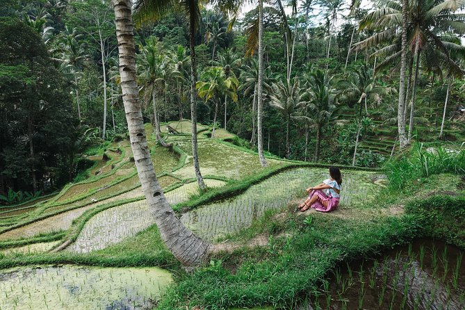 Private Bali Car Charter with Driver up to 6 People - Picking a route without exhausting yourself