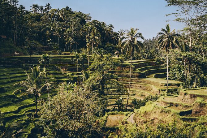 Private Bali Custom Tour – Full Day with English-Speaking Driver - What This Private Bali Day Really Offers