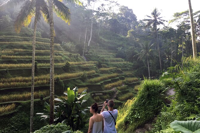 Private Bali Custom Tour – Full Day with English-Speaking Driver - Building a Sensible Ubud Route